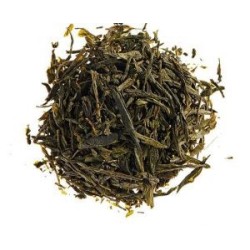 THÉ VERT CARESSES CITRON-GINGEMBRE BIO