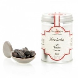 FEVES DE TONKA BRESIL