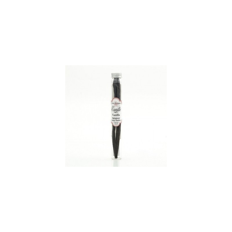 VANILLE DE MADAGASCAR DEUX GOUSSES
