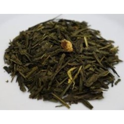 THE VERT NOEL ETOILE BARONY'S