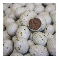 Oeufs de mouette praline