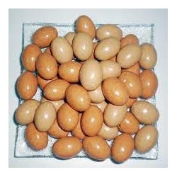 OEUFS DE POULE SCHAAL CHOCOLATIER